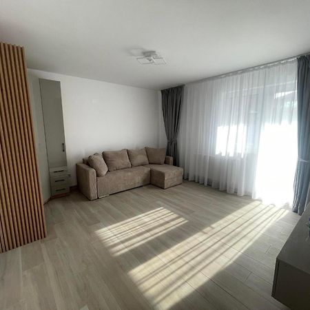 Luxury Apartment ピテシュティ エクステリア 写真